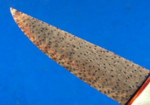 petrified palmwood stone knife blade close up